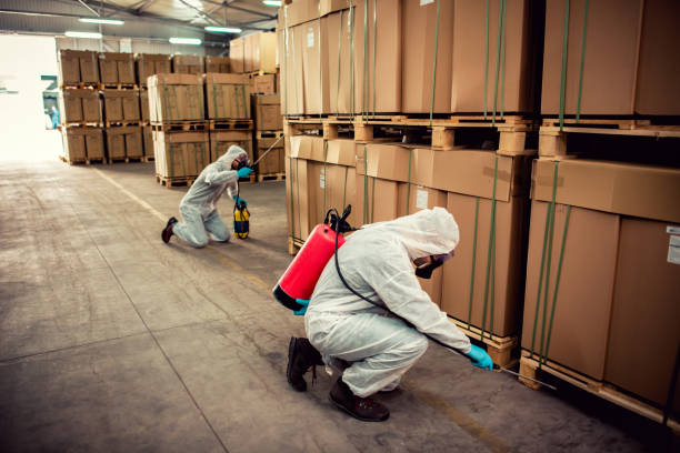 Best Pest Inspection Near Me  in Chaffee, MO