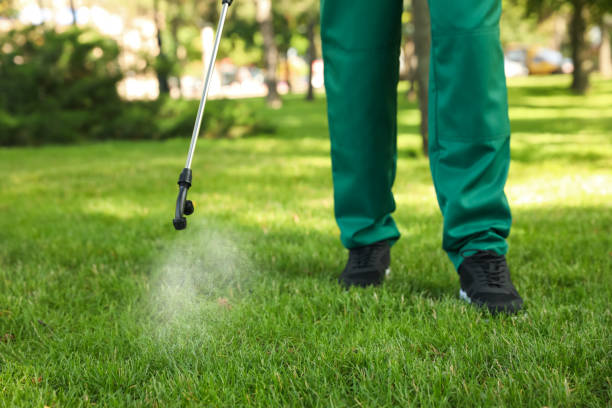 Best Affordable Pest Control Services  in Chaffee, MO